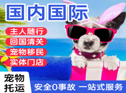 鄂托克旗乌兰空运地址国际宠物托运 【国